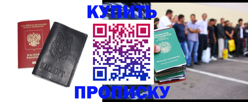 прописка иностранных граждан в Сертолово